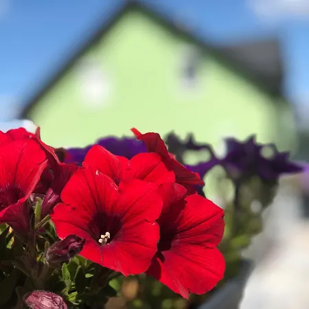 Prachtvolles Erholungsgebiet Im Weinviertel *