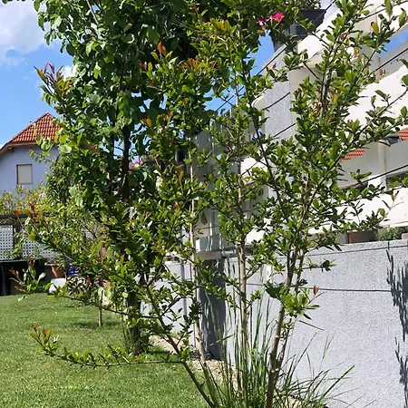 Beautiful 4-bed House In The Weinviertel Semesterbostad