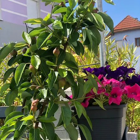 בית נופש Beautiful 4-bed House In The Neahe Wien הולברון