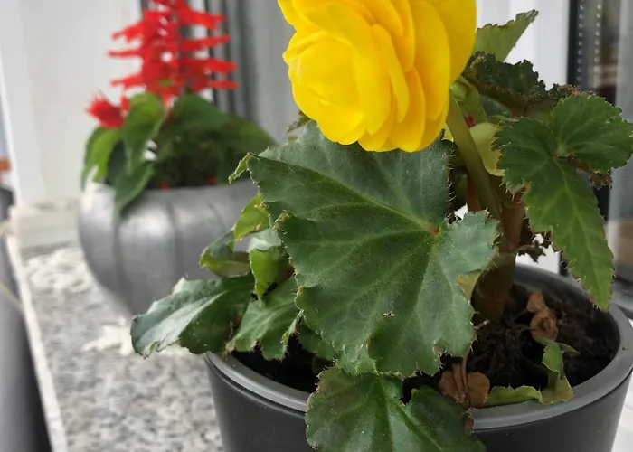 Beautiful 4-bed House In The Weinviertel * Hollabrunn