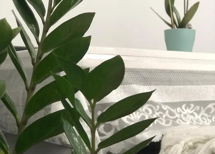 Beautiful 4-bed House In The Weinviertel *