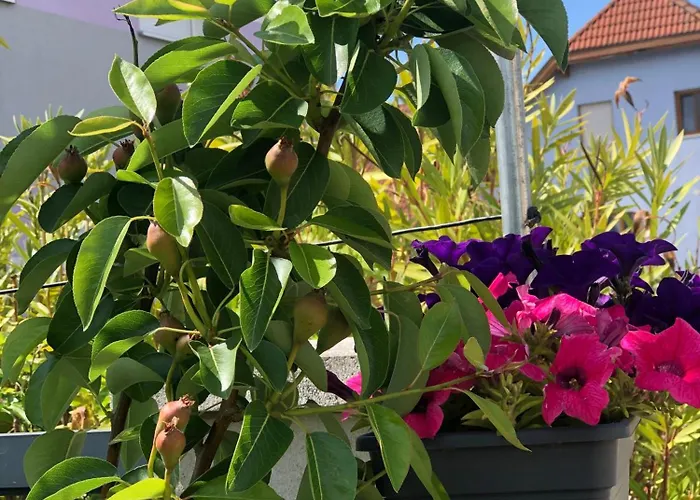 Feriehus Beautiful 4-bed House In The Weinviertel Hollabrunn